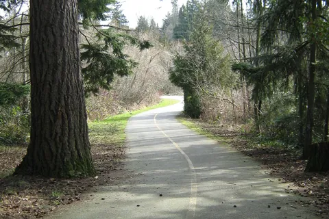 The paved Interurban Trail running between trees.